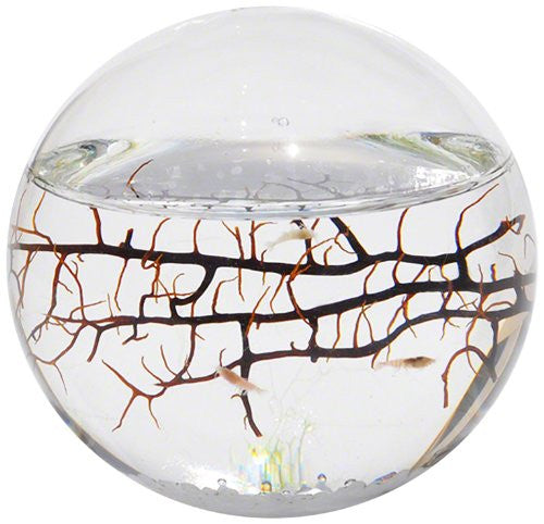 EcoSphere Closed Aquatic Ecosystem, Small Sphere, with Turntable