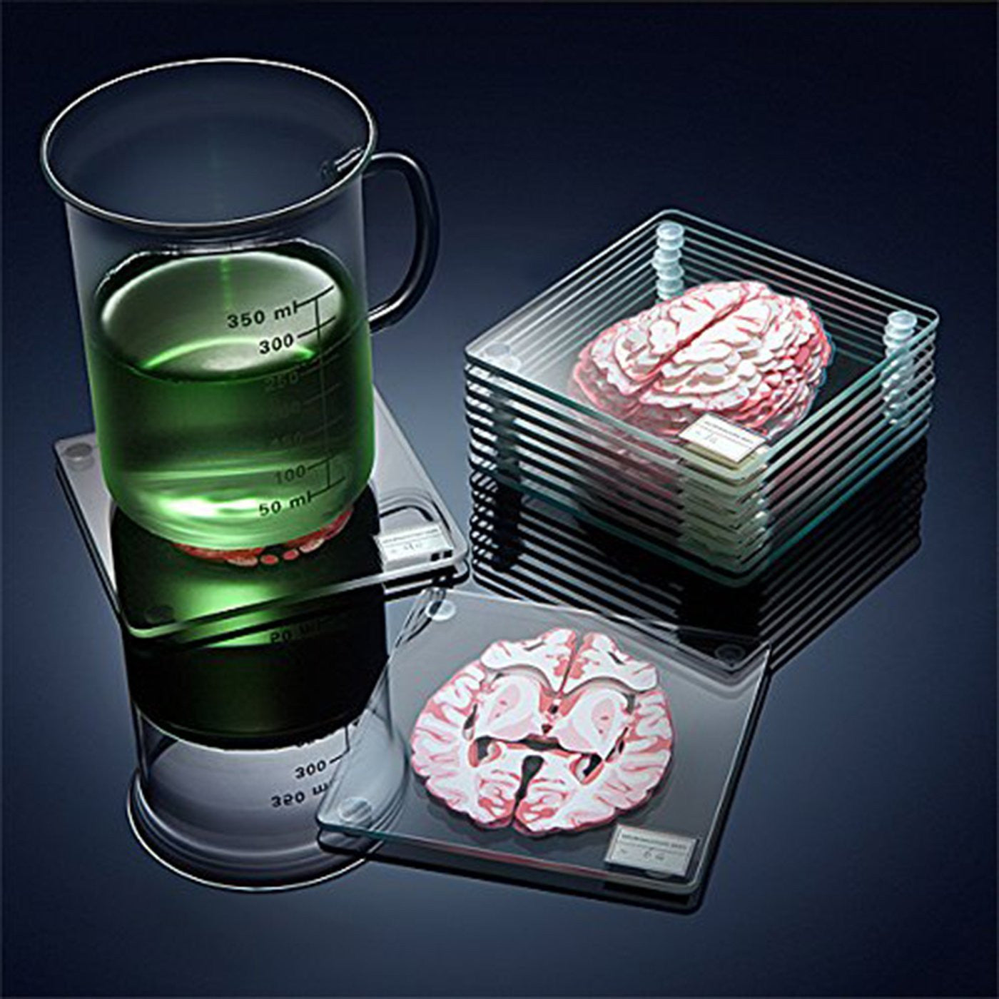 Brain Specimen Coasters OddGifts