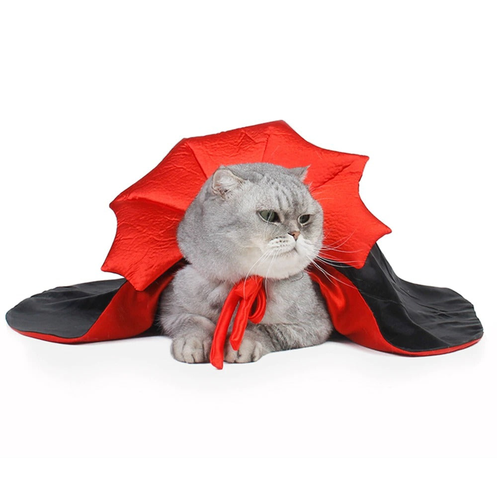 Cat vampire clearance costume