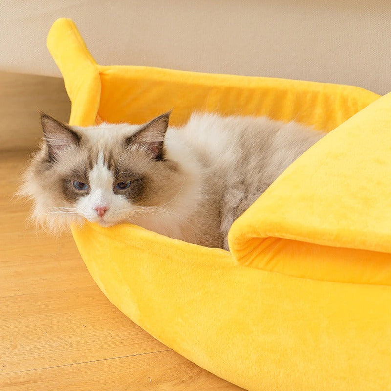 Treat your pet to a comfy banana cat bed OddGifts