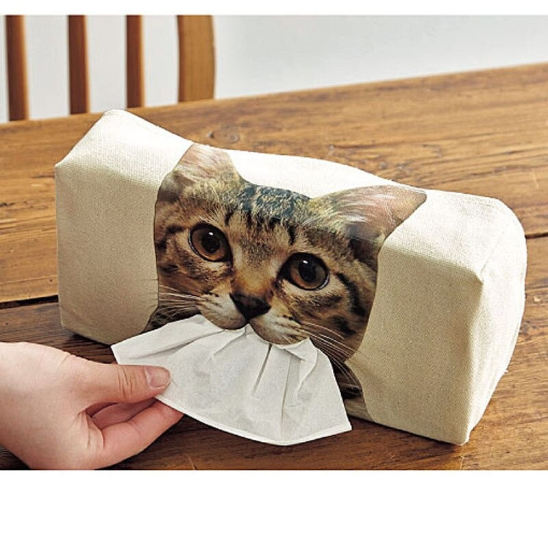 Kitten in hotsell tissue box